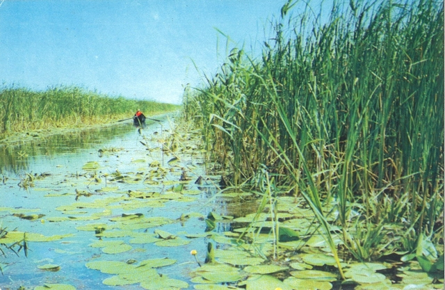 2001-2 - Delta Dunării. Murighiol
